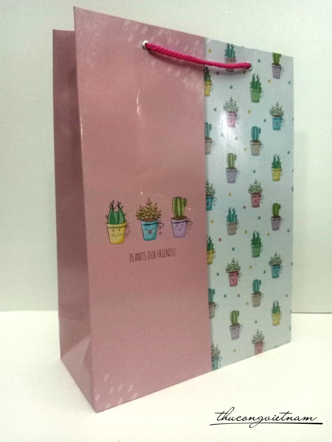 Túi giấy đựng quà C12 27x36x11.5cm